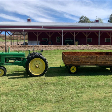 Farm Photo 8